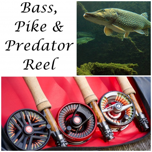 Bass, Pike & Predator Reels